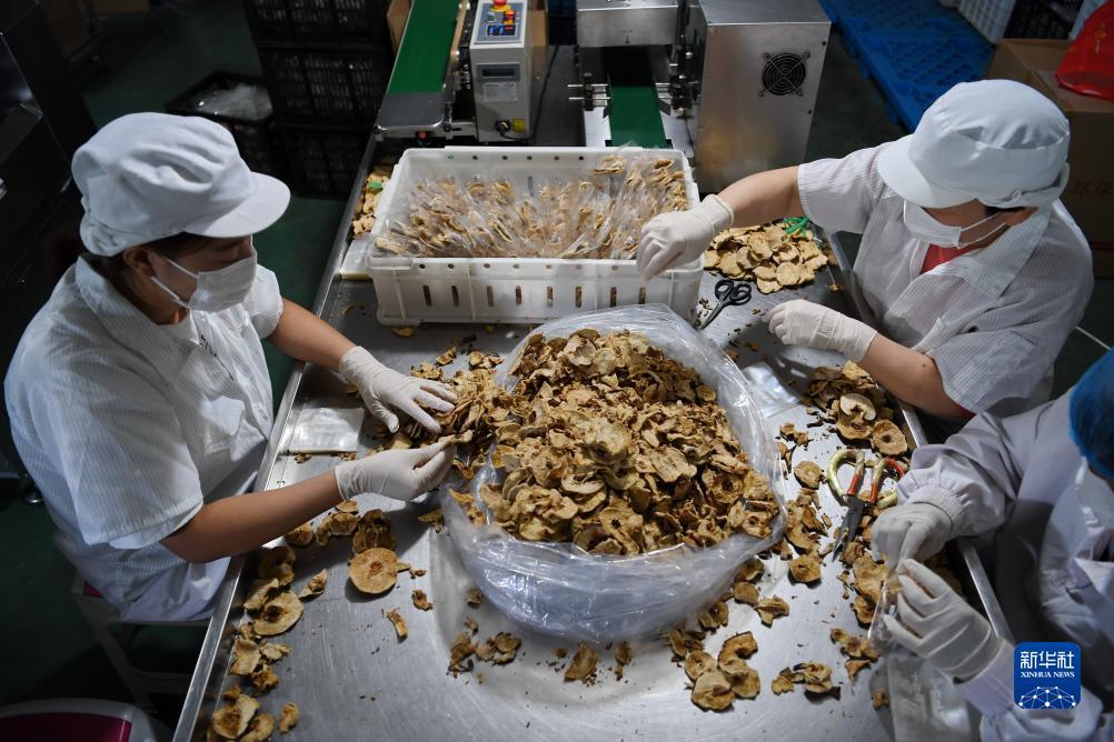 手机捕鱼注册送分